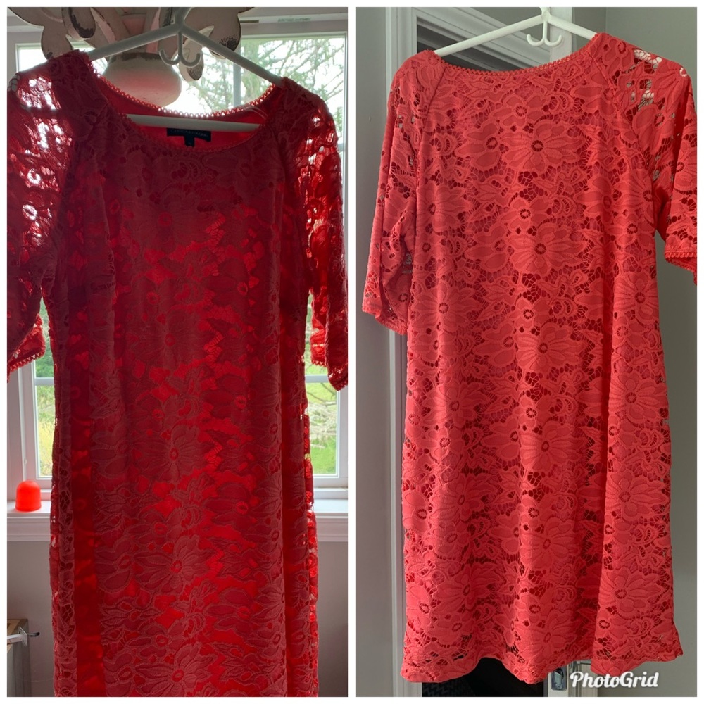 Gorgeous Stretch Lace Dress